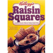 Raisin Squares