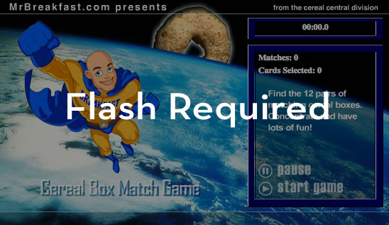 Flash Required To Play This Game