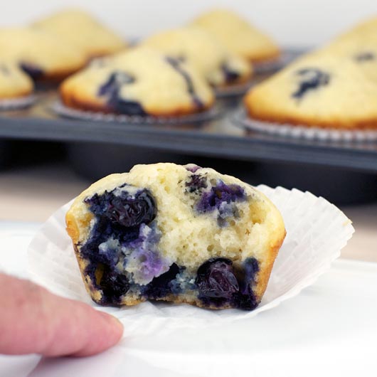 Low Fat Blueberry Muffin Recipe