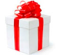 Early Christmas Shopping