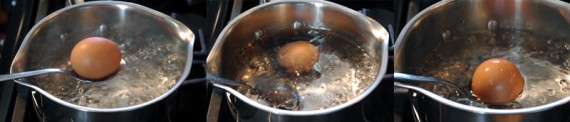 Place Eggs In Boiling Water For 10 Seconds