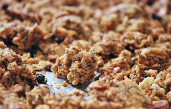 Lemon Poppy Seed Granola