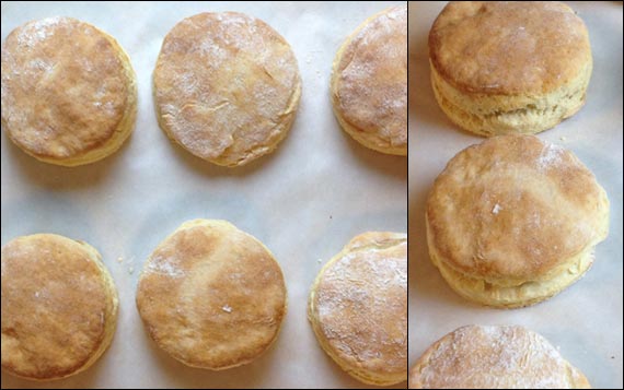 Buttermilk Biscuits Fresh From The Oven