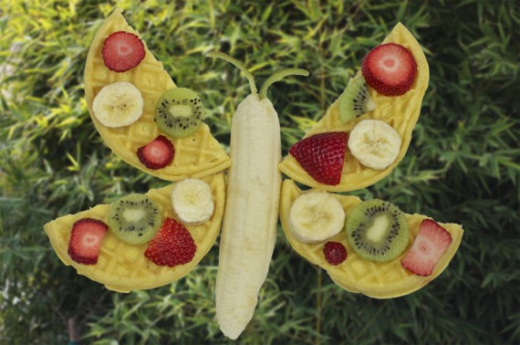 Waffle Butterfly