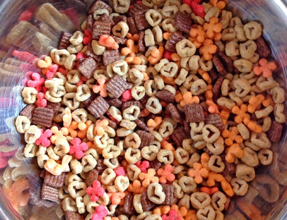 Pieces of assorted cereals