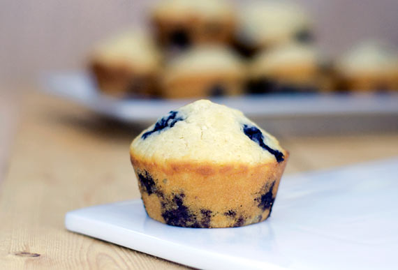 Blueberry Muffin