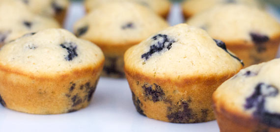 Blueberry Muffins