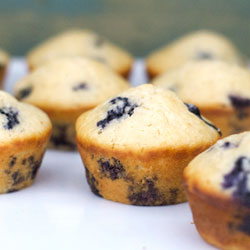 Basic Blueberry Muffins