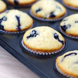 Basic Blueberry Muffins