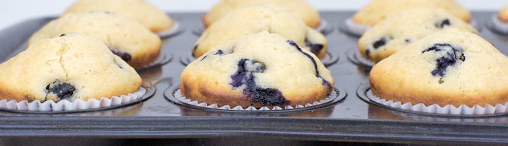 Beloved Basic Blueberry Muffins