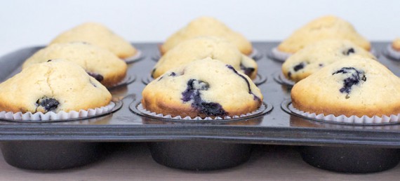 Beloved Basic Blueberry Muffins