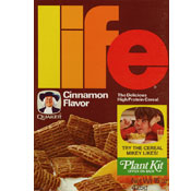 Life - Cinnamon