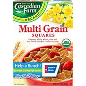 Multi Grain Squares