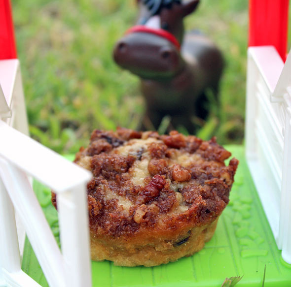 Maple Oatmeal Muffins