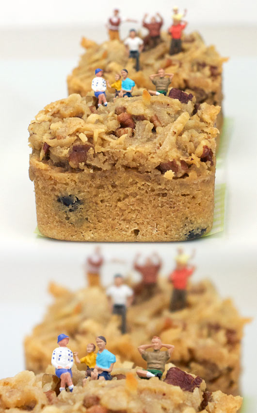 Oatmeal Coffeecake