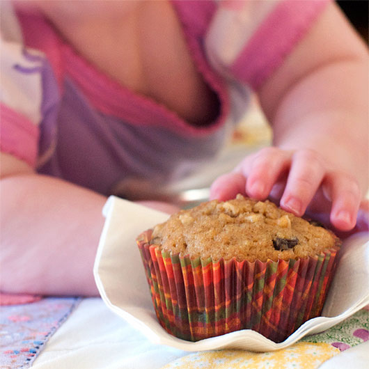 Raisin Bran Applesauce Muffins