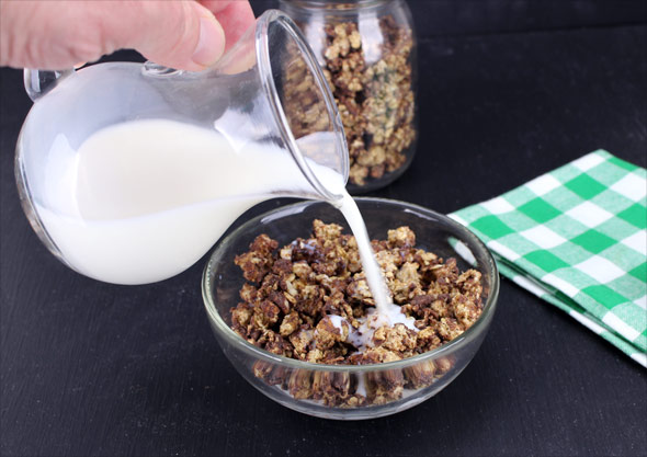 Toaster Oven Granola