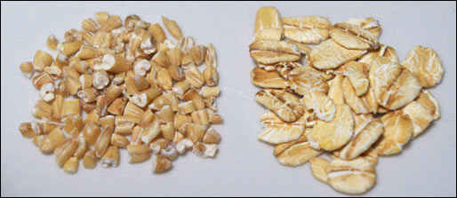 Steel-Cut Vs Rolled Oats