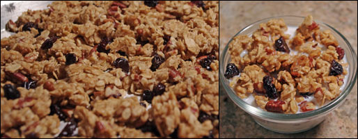 Maple Pecan Granola Clusters Cereal