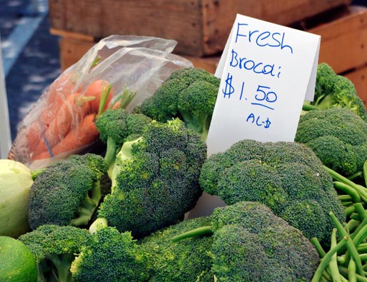 Fresh Broccoli