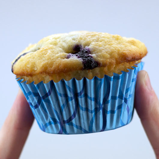 Nova Scotia  Blueberry Muffin Recipe