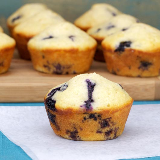 Blueberry Babies Recipe