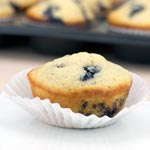 Low Fat Blueberry Muffins