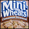 Cinnamon Streusel Frosted Mini-Wheats