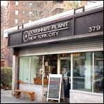 Doughnut Plant in Manhattan