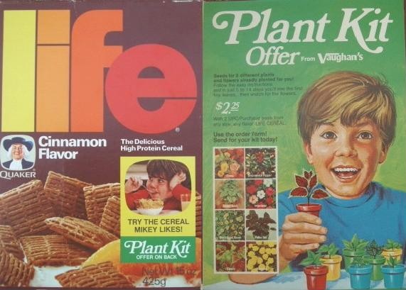 Cinnamon Life Plant Kit Box