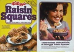 Raisin Squares Box - Front & Back